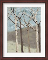 Framed Blue Birches II