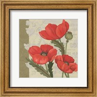 Framed Paris Poppy I