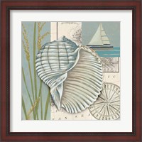 Framed Seaside Shell I