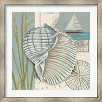 Framed Seaside Shell I