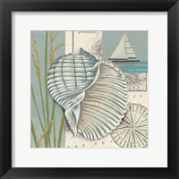 Seaside Shell I Framed Print