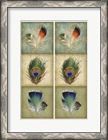 Framed 2-Up Feather Triptych I