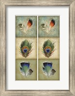 Framed 2-Up Feather Triptych I