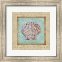 Framed Shell & Damask I