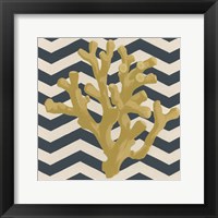 Marine Medley IV Framed Print