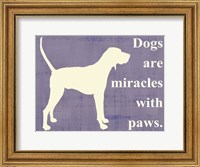 Framed Dogs are miracles with paws