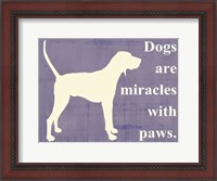 Framed Dogs are miracles with paws