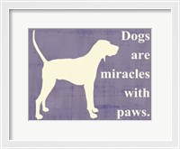 Framed Dogs are miracles with paws