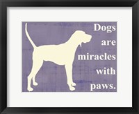 Framed Dogs are miracles with paws