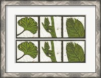 Framed 2-Up Verde Botanical IV