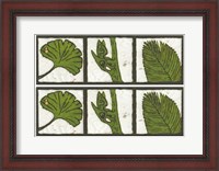 Framed 2-Up Verde Botanical IV
