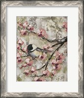Framed Cherry Blossom Bird II