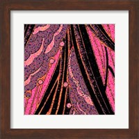 Framed Pink Purse II