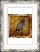 Framed Fallen I