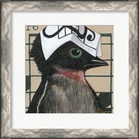 Framed You Silly Bird - Will