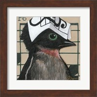 Framed You Silly Bird - Will