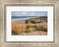 Framed Sandy Shores