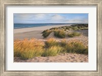 Framed Sandy Shores