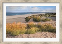 Framed Sandy Shores