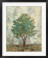 Verdi Trees II Framed Print