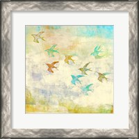 Framed Oiseaux 1