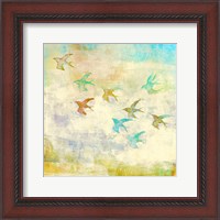 Framed Oiseaux 1