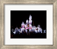 Framed Sleeping Beauty's Castle