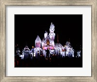 Framed Sleeping Beauty's Castle