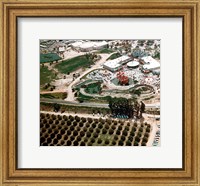 Framed Disneyland and Orange Groves, 1955