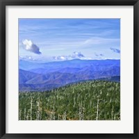 Framed Great Smoky Mountains