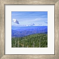 Framed Great Smoky Mountains