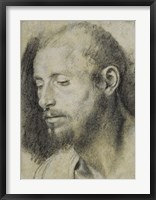 Framed Study of the Head of a Bearded Man