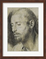 Framed Study of the Head of a Bearded Man