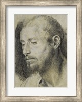 Framed Study of the Head of a Bearded Man