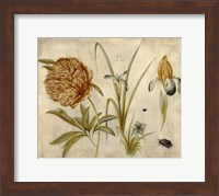 Framed Flowers and Beetles
