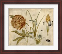 Framed Flowers and Beetles