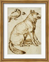 Framed Wolf and Two Doves