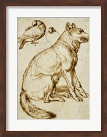 Framed Wolf and Two Doves