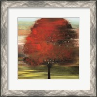 Framed Flow Trees I