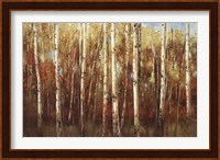Framed Birch Forest