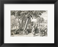 Framed Apple Harvest