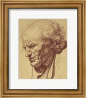 Framed Study of the Head of an Old Man