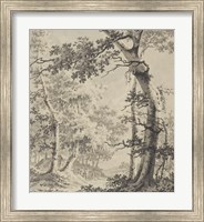 Framed Wooded Landscape