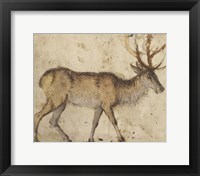 Framed Study of a Stag