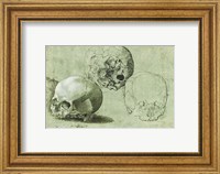 Framed Study of Three Skulls