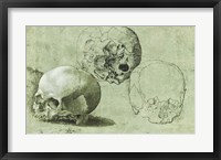 Framed Study of Three Skulls