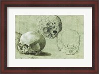 Framed Study of Three Skulls