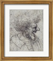 Framed Caricature of a Man with Bushy Hair