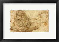 Framed Study of a Lion