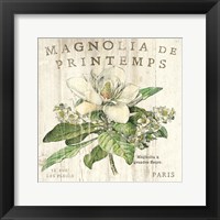 Framed Magnolia de Printemps